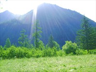 привет солнце!  Заждались...